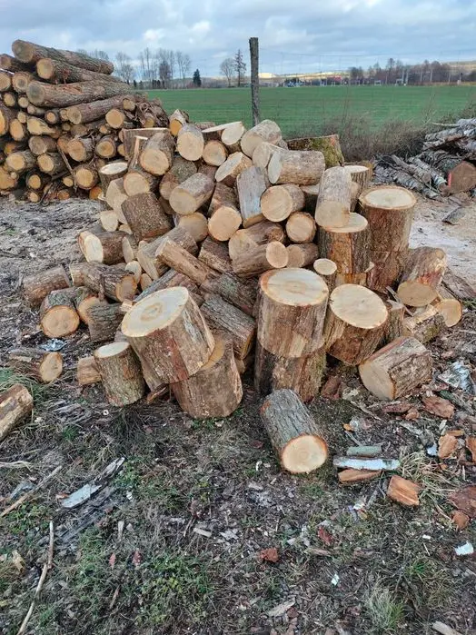 Sprzedaż drewna opałowego i kominkowego