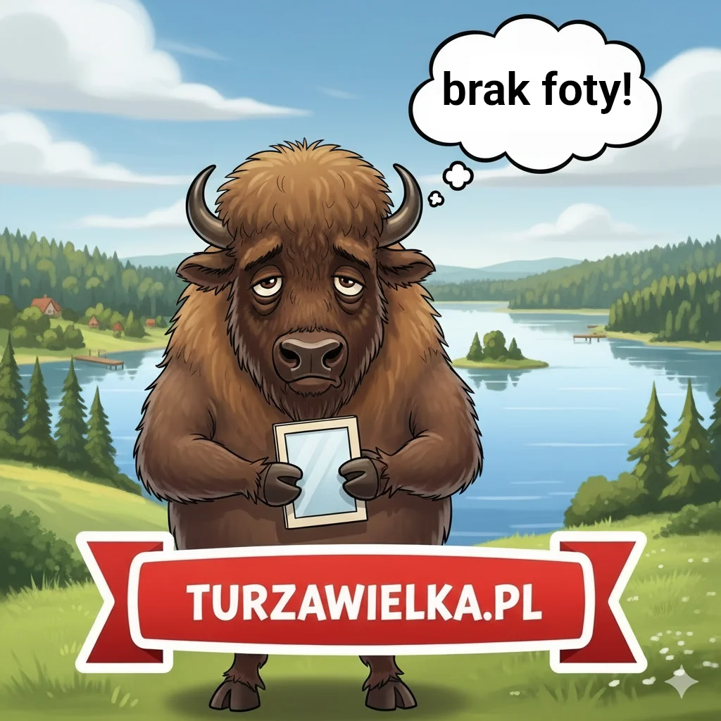 Brak zdjęcia